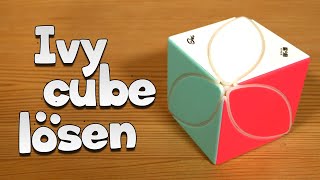 Ivy Cube Tutorial | sehr einfach in 3 Schritten lösen