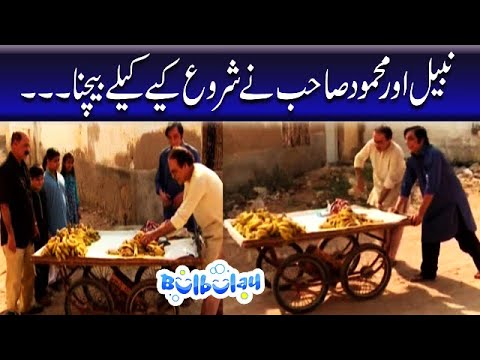 Nabeel Aur Mehmood Sahab Ne Shuru Kiye Kelay Bechne Bulbulay