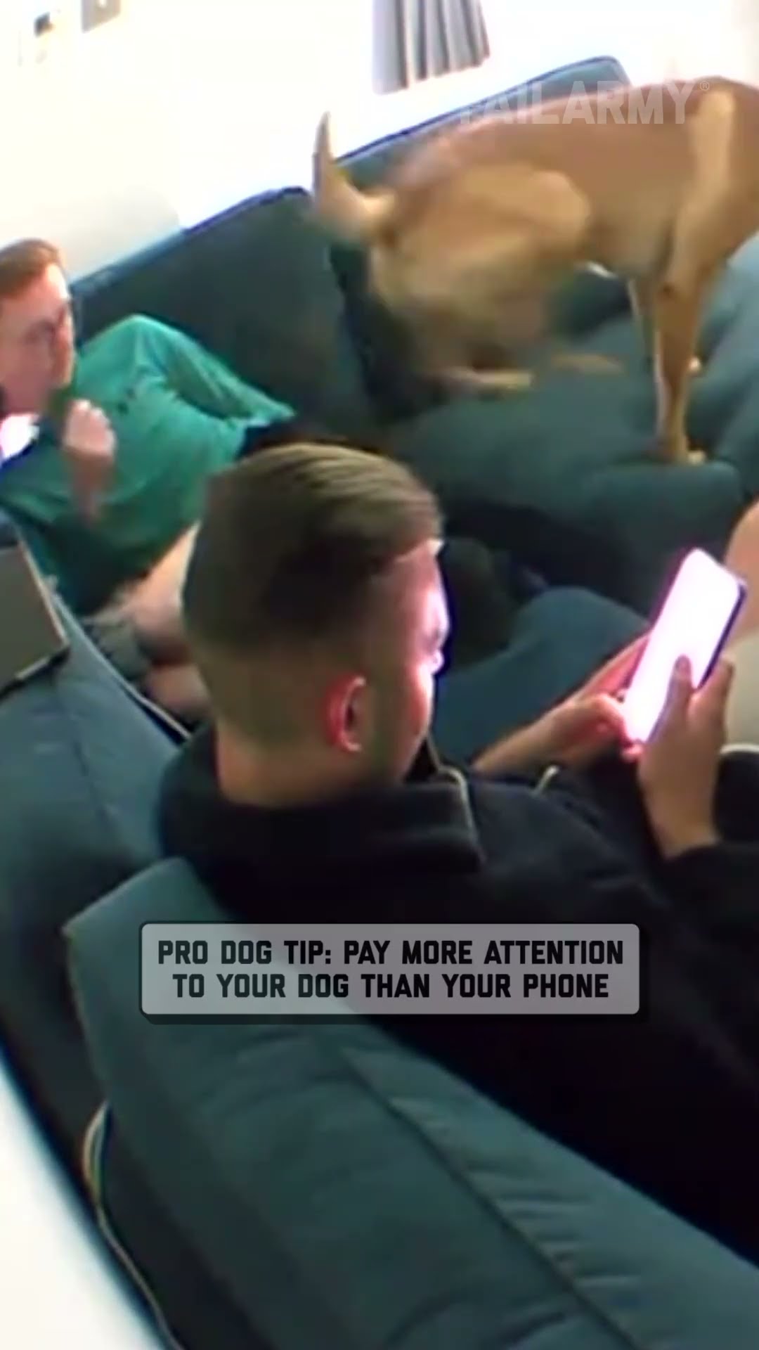 that's enough screen time ?