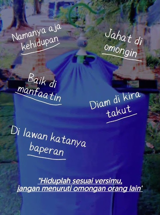 piala murai batu #shorts #storywa #tiktok