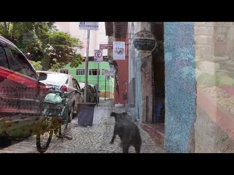 FEMAV 2019: Festival de Música Autoral das Vertentes - teaser