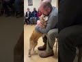 The Senior Dog Picked the Quietest Person#shorts #dog #rescuedog #viral