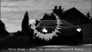 Chris Brown - Under The Influence (CucuTriB Remix)