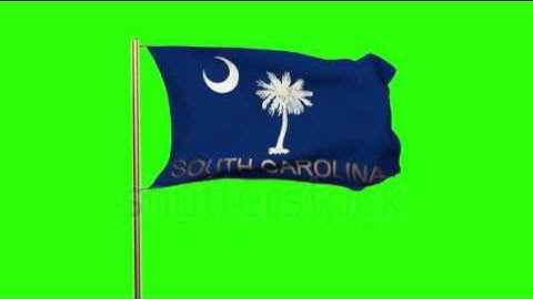 south carolina flag with title waving in the wind. Looping sun rises style. Animation loop Stock