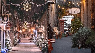 Christmas in Quebec (Quebec City and Montreal) (4k) by Christopher Putvinski 5,643 views 1 year ago 3 minutes, 2 seconds