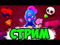 Стрим Бравл Старс играю с Вами! Brawl Stars Стрим!