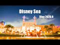 【ディズニーシーVlog】ミラコスタ部屋紹介・花火