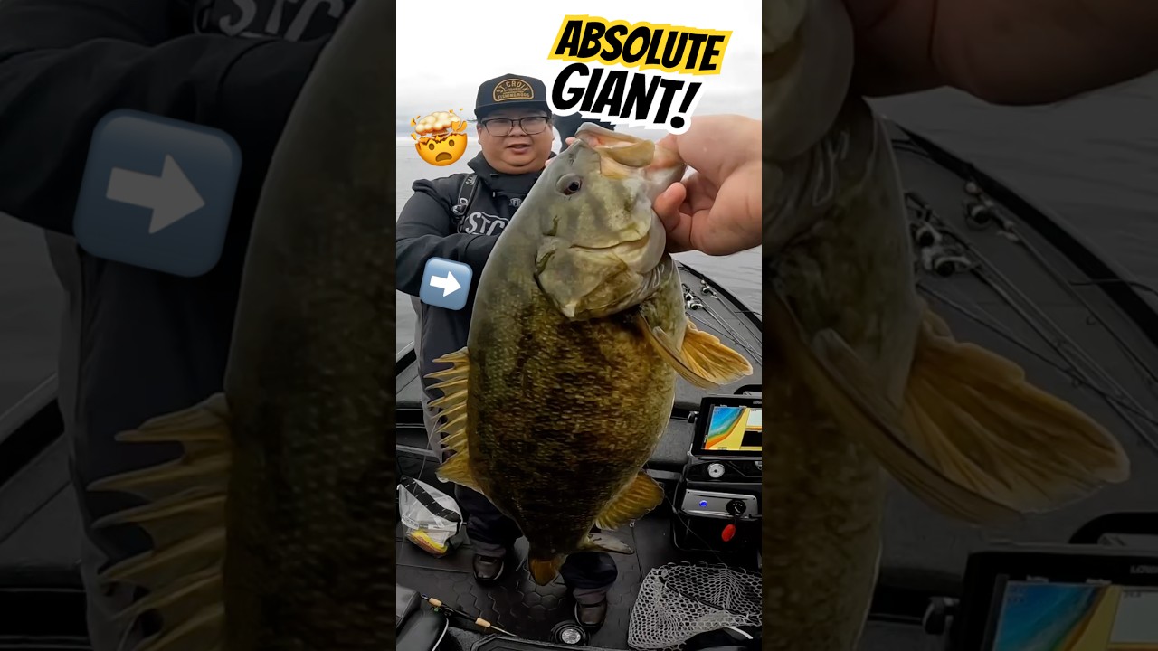 САМЫЙ БОЛЬШОЙ малоротый окунь, которого вы увидите сегодня 🤯🎣 