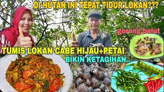 TUMIS LOKAN CABE HIJAU+PETAI BIKIN KETAGIHAN||DI HUTAN INI SARANG NYA LOKAN??? 