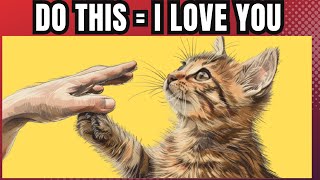 11 PROVEN Ways To Tell Your Cat You Love Them