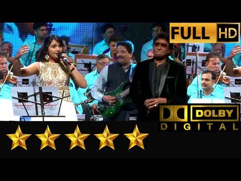 Tumse Milkar Na Jaane Kyun by Manisha Jambotkar & Shabbir Kumar live by Hemantkumar Musical Group