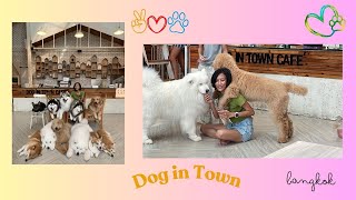 Dog in Town Cafe