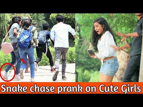 epic-snake-chase-prank-on-cute-girls---indian-jersey-giveaway-||-prank-in-india-||mindlesslaunde