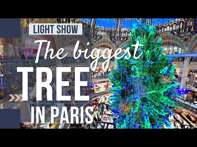 Paris workers disrupt Galeries Lafayette Christmas tree-lighting ceremony