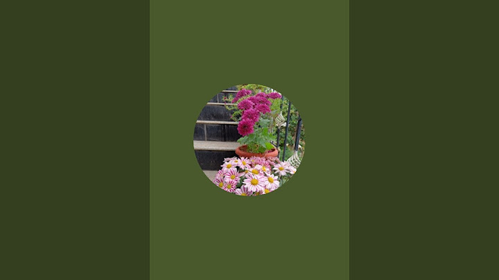 Daily Market video upload  is live தனிமை மிகவும் கொடியது..😥😥
