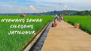 Viral ‼️ Nyawang Sawah Cilegong | Cheap and cheerful tourism in Purwakarta