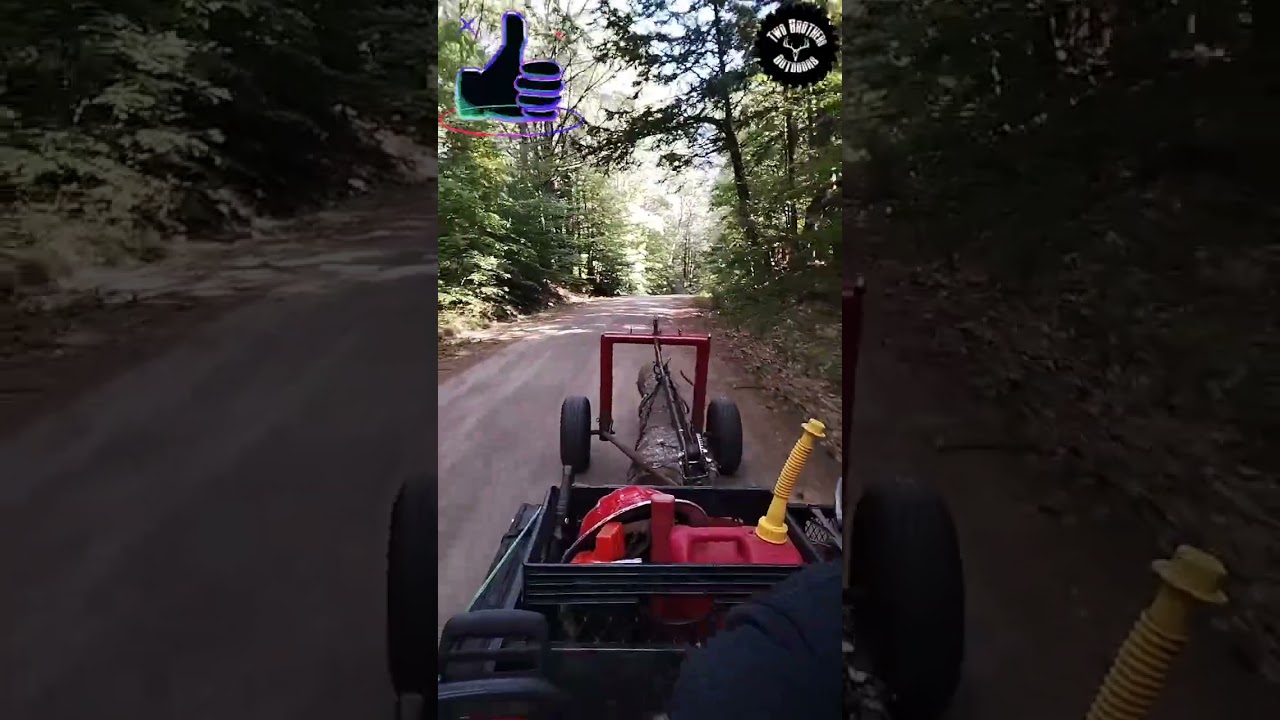 Fast Logs! #speed #logging #shortvideo