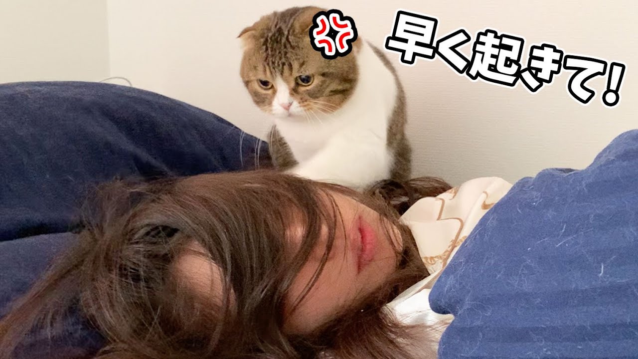 🐈猫に激しく起こされて前髪が崩壊したママwww - YouTube
