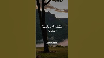 القارئ الشيخ || ياسر الدوسري || من عمل سيئةً فلا يجزى إلا مثلها || #quran #قرآن_كريم #لايك #ستوري