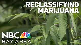 Celebrity Trump expected to reclassify marijuana Net Worth