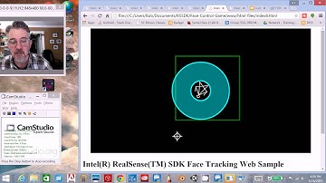 Index8 Sample  - Intel RealSense HTML5 Tutorial