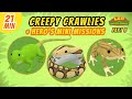 Creepy Crawlies (Part 3/3) - Junior Rangers and Hero's Animals Adventure | Leo the Wildlife Ranger