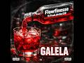 Flow Finesse GALELA Visualizer