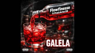 Flow Finesse  Galela visualizer