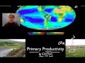 Ecosystem Dynamics in Yellowstone National Park