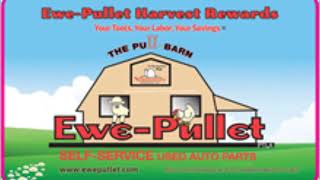 Ewepullet 2019