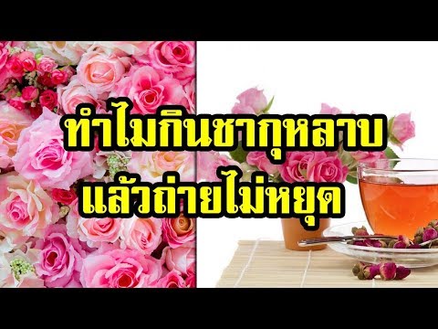 หมดข้อสงสัย ทำไม "ชากุหลาบ" กินแล้วถึงขับถ่ายไม่หยุด มาดูคำตอบกัน!!