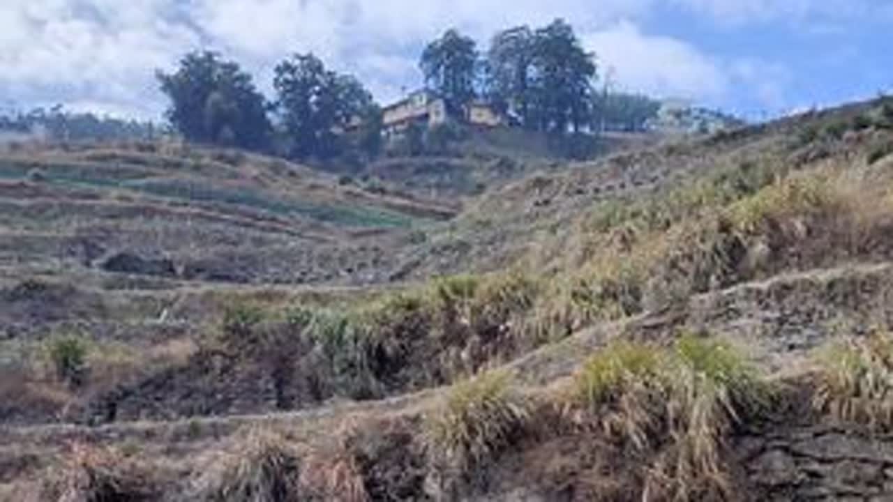 观音岩，位于安徽省黄山市歙县长陔乡韶坑村青尖村江木坞，是一个隐藏在高山深坞中的天然石窟。传说这个石窟是观音菩萨的道场，几百年来一直都流传着很多观音菩萨显灵的故事。救苦救难，有求必应，在特定的日子...