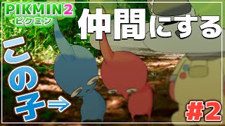 【#ピクミン2】水曜日だし青ピクミン引っこ抜くか！！！【こうの人】