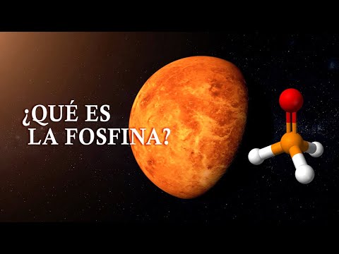 Vídeo: Leonid Ksanfomality Contó Los Detalles Del Descubrimiento De Vida En Venus - Vista Alternativa