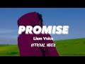PROMISE - LIAM VOICE [Official Music Video]