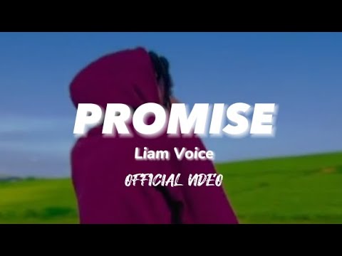 PROMISE - LIAM VOICE [Official Music Video]
