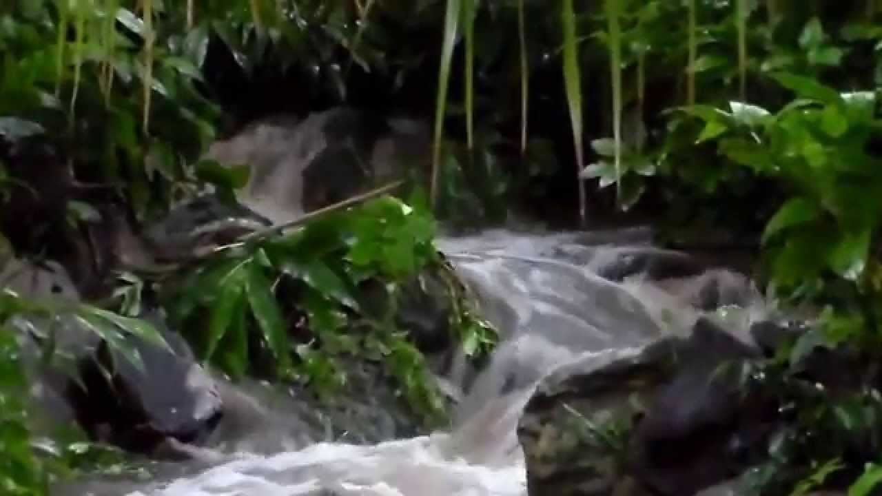 Palmiet Stream Dawncrest Westville 2 days before Christmas YouTube