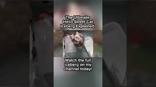 Brother Flip - Ultimate Hello Street Cat Iceberg Explained