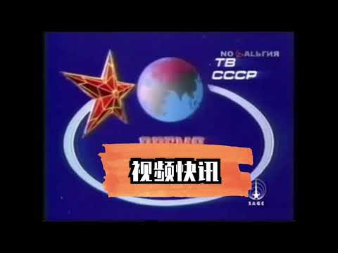 元首的愤怒