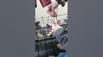 Lock bridge in krakow