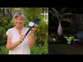 Easy to Install, Super Bright! Kaxiida Solar Spotlights Review 🌞