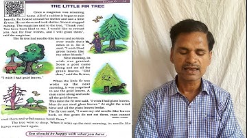 Petals, Rainbow, Class 5, Lesson 14, Explanation, The Little Fir Tree, Primary School Books, UPBoard