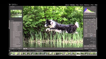 Lightroom 5- Smart Previews //New Feature!
