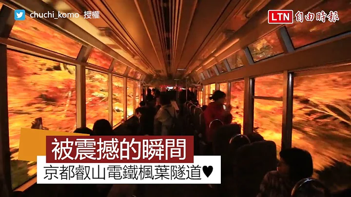 被震撼的瞬間！京都超浪漫楓葉隧道 「歡迎來到異世界」 - 天天要聞