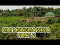 HAI MONGMA NINA PART 2