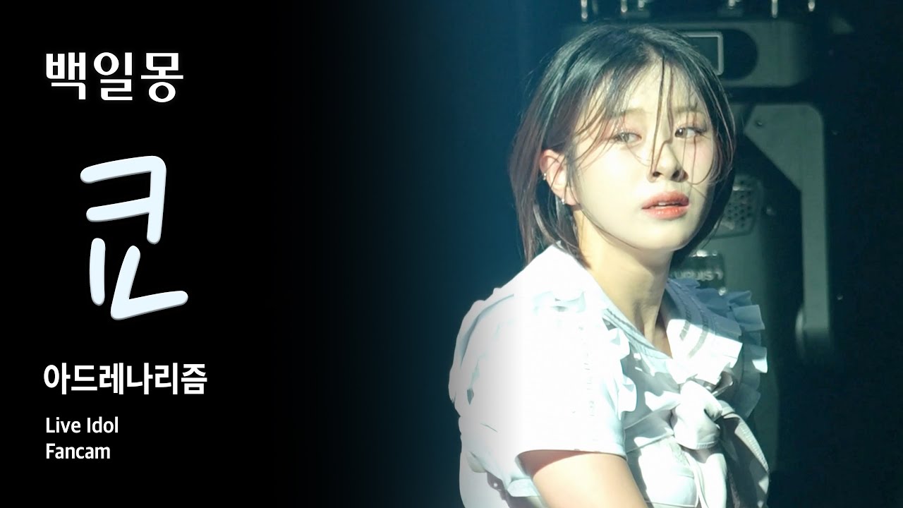 [라이브아이돌 직캠 4K] 백일몽 쿄 - 아드레나리즘 (百日夢 Kyo - 「アドレナリズム」) | 소원궤도 | WestBridge | 250126