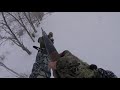 Охота на зайца 05.01.19 (hare hunting)