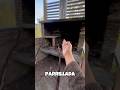 Parque abandonado-La Paz #bolivia #parque #fypシ゚viral #viralvideo #historiass #fyp #youtubeshorts