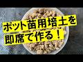 畑の土に混ぜるだけ！格安で培土が自作できます！　6種類の資材を土に混ぜて生育比較検証しました！