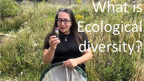 Alpha, Beta and Gamma Diversity